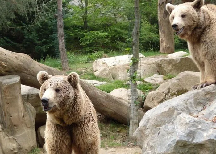 2 Pièces, Centre Cauterets, Proche Thermes Et Télécabine - Fr-1-234-122 Appartement Cauterets