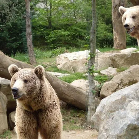 2 Pieces Centre Cauterets, 5 Pers, Balcon - Fr-1-234-122 Lejlighed Cauterets