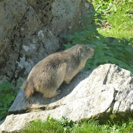 2 Pieces Centre Cauterets, 5 Pers, Balcon - Fr-1-234-122 Lägenhet Cauterets