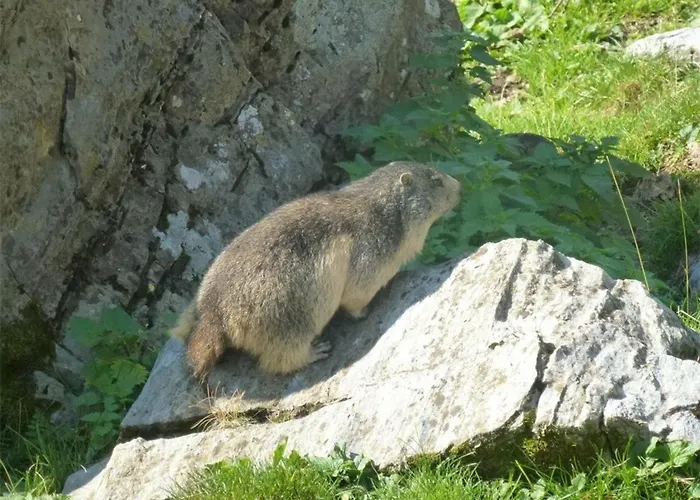 2 Pieces Centre Cauterets, 5 Pers, Balcon - Fr-1-234-122 Апартаменты Котре